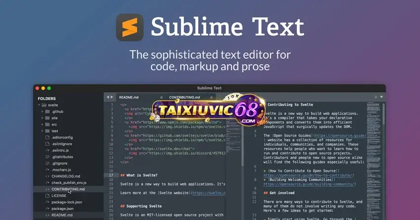 Phần mềm lập trình game tài xỉu Sublime Text 