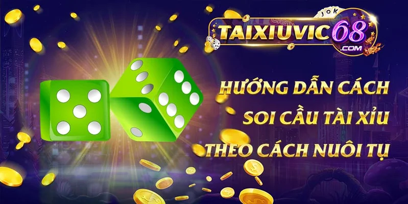 Soi cầu tài xỉu